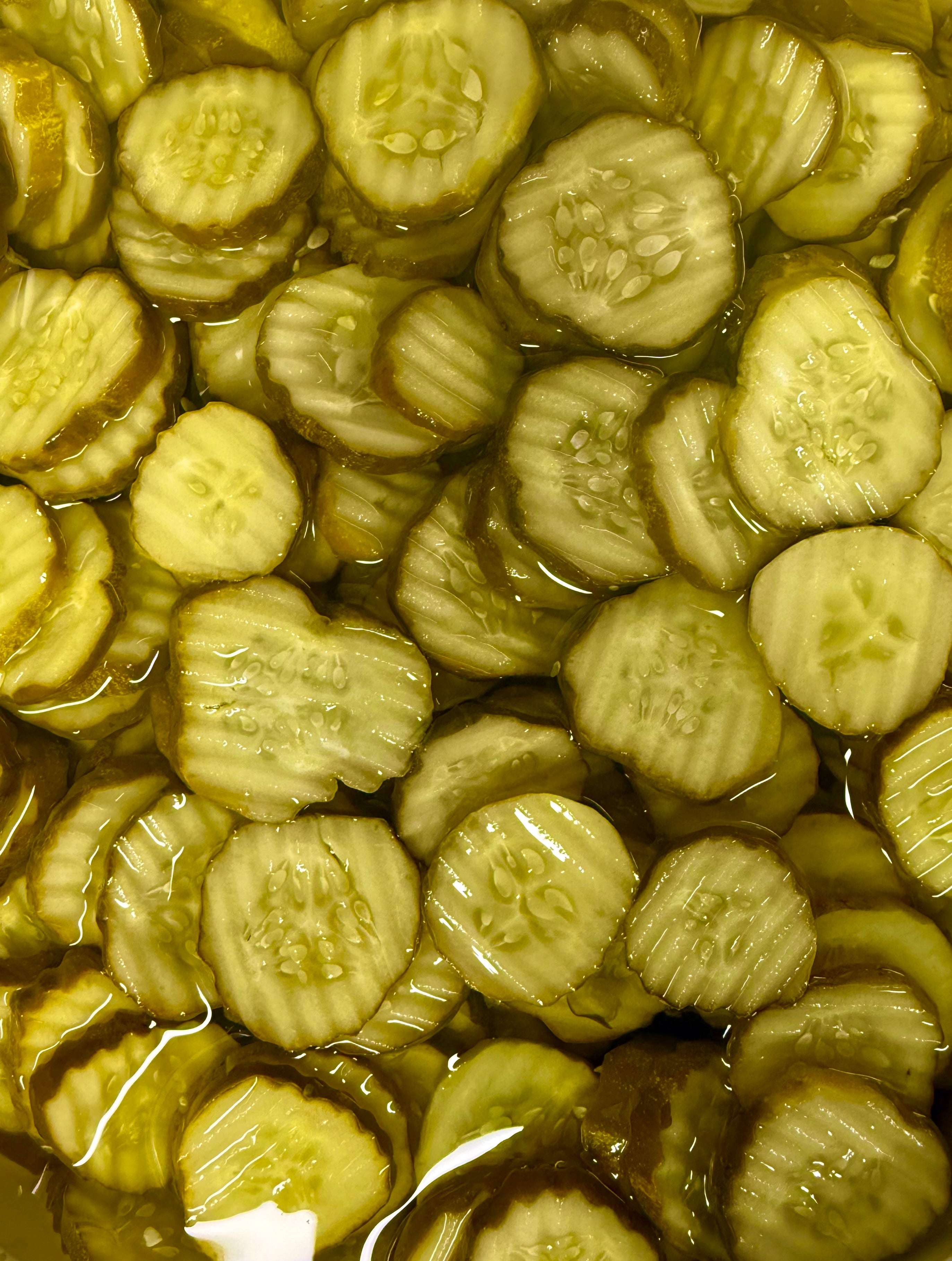 Kosher Dill Pickle Chips