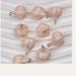 Resin Garlic Charms