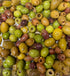 Homemade Olive Brine